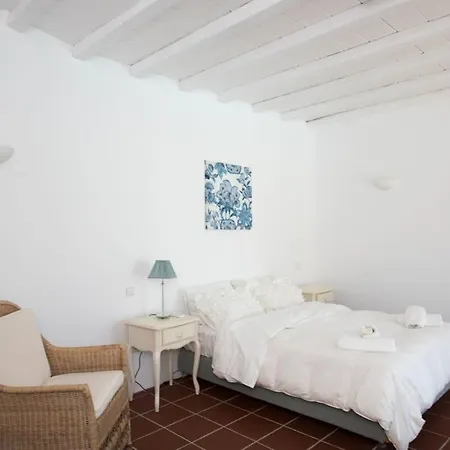 Victoria With Sea View And Two Private Pools * Ftelia (Mykonos)